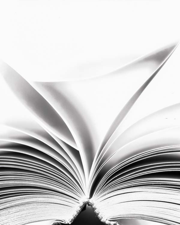 Book 41 III