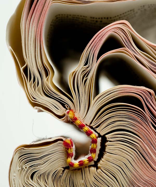 Book_30_2009