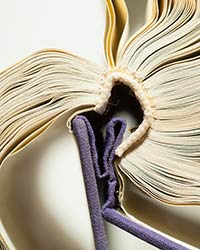 Book_161_2016_t