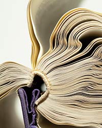 Book_162_2016_t