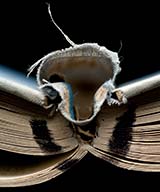 Book_1_2008_t