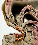Book_30_2009_t