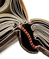 Book_42_2009_t